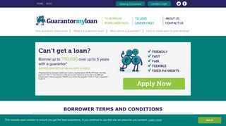 Borrower Terms - Guarantor My Loan