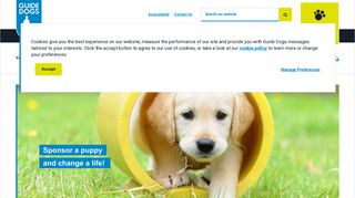 Sponsor A Guide Dog Puppy | Guide Dogs