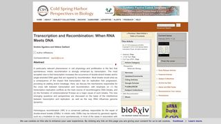 Transcription and Recombination: When RNA Meets DNA