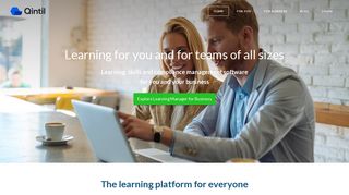 Qintil - Learning for you and for your team
