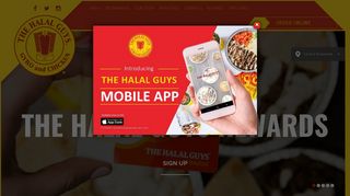 The Halal Guys | Gyro and Chicken