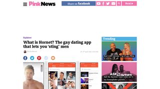 What is Hornet? The gay dating app that lets you 'sting' men - PinkNews
