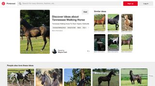 tennessee walking horse | Horsetopia.com --> Virginia - Pinterest