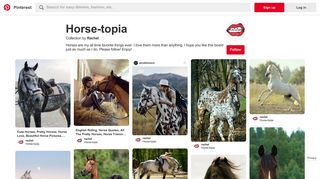 1926 Best Horse-topia images | Pretty horses, Horse love, Horse ...