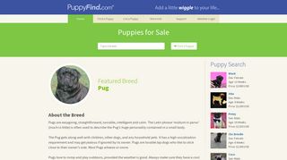 PuppyFind | Puppies for Sale