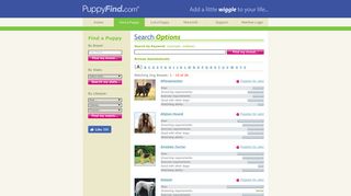 Puppies for Sale by Dog Breed (A) - PuppyFind