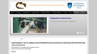 CHEA: Comisión Honoraria de Experimentaciòn Animal