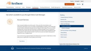 Online Cash Manager Features and Benefits | SunTrust Small ...