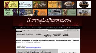 Hunting Lab Pedigree