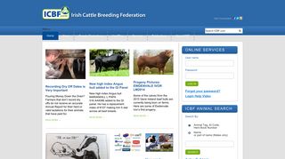 ICBF | Irish Cattle Breeding Federation