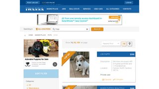 Marketplace | Pets | Dogs - Iwanna.com