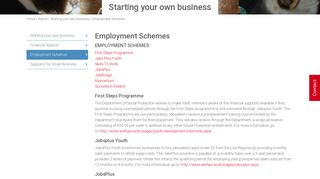 Employment Schemes - ISME