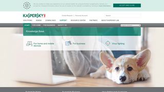 Kaspersky Lab Technical Support