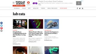 lab rats | Popular Science