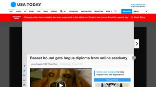 Basset hound gets bogus diploma from online academy - USA Today