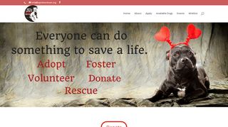 Key to Lion's Heart Rescue | Adopt. Foster. Donate. Volunteer. Rescue.