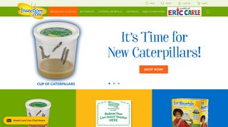 Insect Lore | Live Caterpillars, Butterflies, Insects and Gifts