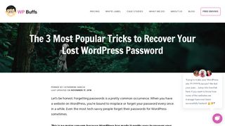 The 3 Most Popular Tricks to Recover Your Lost WordPress Password