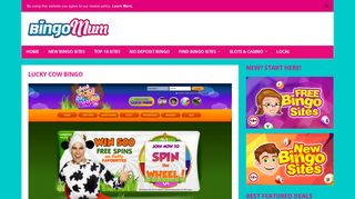 Lucky Cow Bingo | Get up to 500 FREE Spins Here! - Bingo Mum