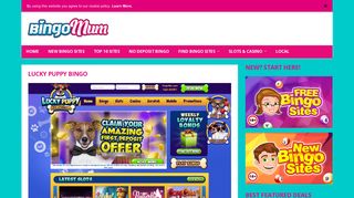Lucky Puppy Bingo Review | You Have 100% Bonus + 20 FREE Spins!