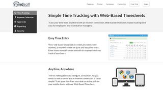 Online Time Tracking and Reporting | MindSalt Web-Based Timesheets