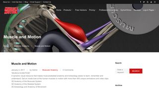 Muscle and Motion | Muscle&Motion - Strength Training Anatomy ...