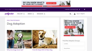 Dog Adoption | Petfinder