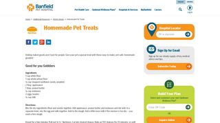 Homemade Pet Treats - Banfield Pet Hospital®