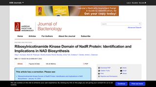 Ribosylnicotinamide Kinase Domain of NadR Protein: Identification ...