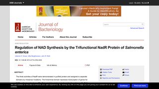 Regulation of NAD Synthesis by the Trifunctional NadR Protein of ...