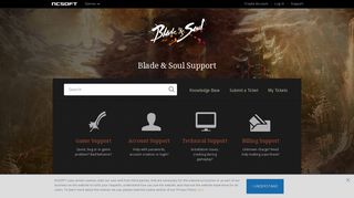 Blade & Soul Support