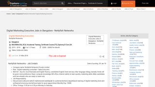 Digital Marketing Executive Jobs in Bangalore - Nettyfish Networks 30 ...