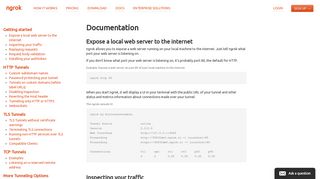 ngrok – documentation