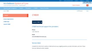 Launch CYBER | PerformCare