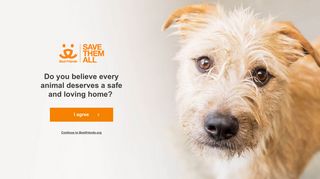Volunteer Animal Shelter | Best Friends Animal Society