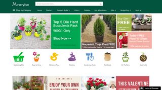 Buy 6000+ Plants, Seeds, Pots online at Nursery Live | Largest plant ...