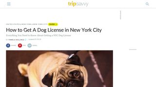 How to Get A NYC Dog License - TripSavvy