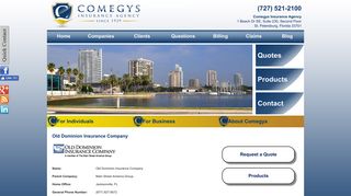 Old Dominion Insurance Company - Comegys Insurance Agency