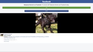 Nastyman Kennel - GRCH Da Beast Pedigree: www.apbt.online ...