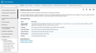 NetSuite OpenAir connection