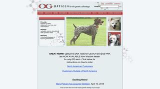 OptiGen - homepage headlines - genetic diseases in dogs - canine ...