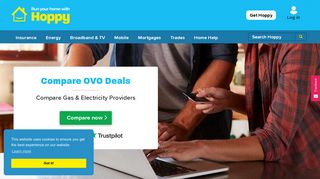 Compare OVO Deals & Offers | OVO Fixed Green Tariffs | Hoppy