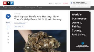 Gulf Oyster Reefs Are Hurting. Now There's Help From Oil Spill Aid ...