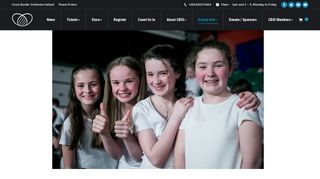SCHOOL INFO – Cross Border Orchestra of Ireland | Peace Proms