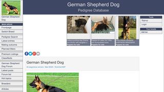 German Shepherd Dog - Pedigree Database