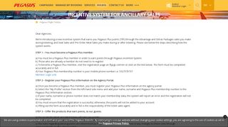 Incentive System For Ancillary Sales | Pegasus Airlines