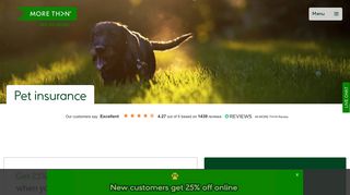 Pet Insurance | Get a Cheap Pet Insurance Quote | MORE THAN