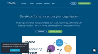 7Geese: OKRs and Performance Management