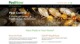 PestNow Services - Pest Control