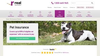 Pet Insurance Australia | Real Insurance